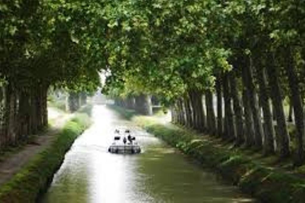 Le Prieure - Studios Jusqu'A 4 Personnes Villeneuve-les-Beziers Ngoại thất bức ảnh
